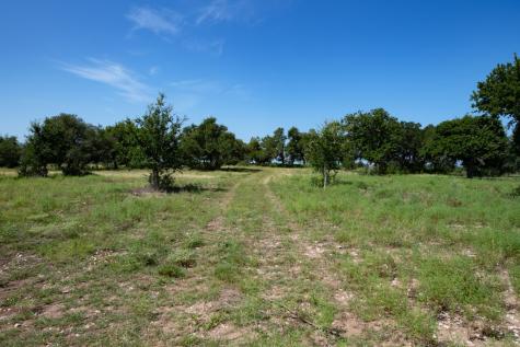 310 Crabapple Road Other TX 78606