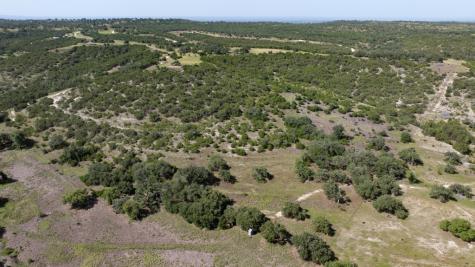310 Crabapple Road Other TX 78606