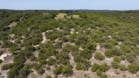 310 Crabapple Road Other TX 78606