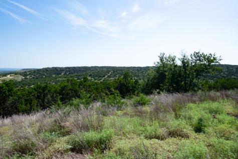 310 Crabapple Road Other TX 78606