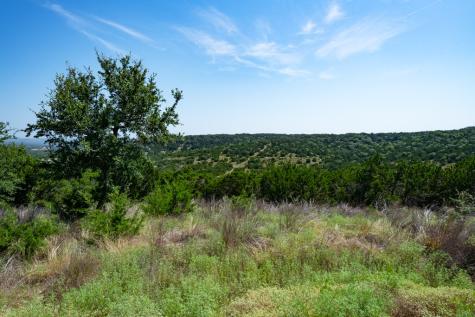 310 Crabapple Road Other TX 78606