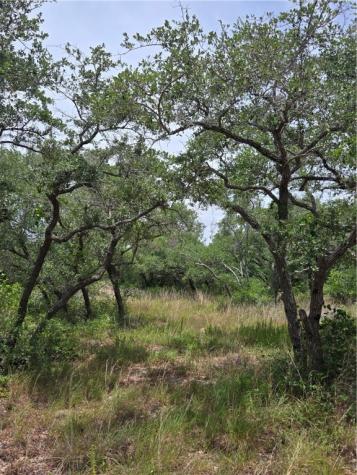 2761 State Highway 35 Bypass Rockport TX 78382