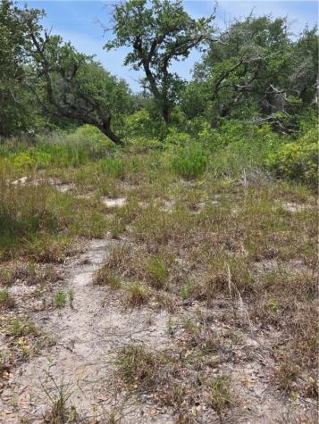2761 State Highway 35 Bypass Rockport TX 78382