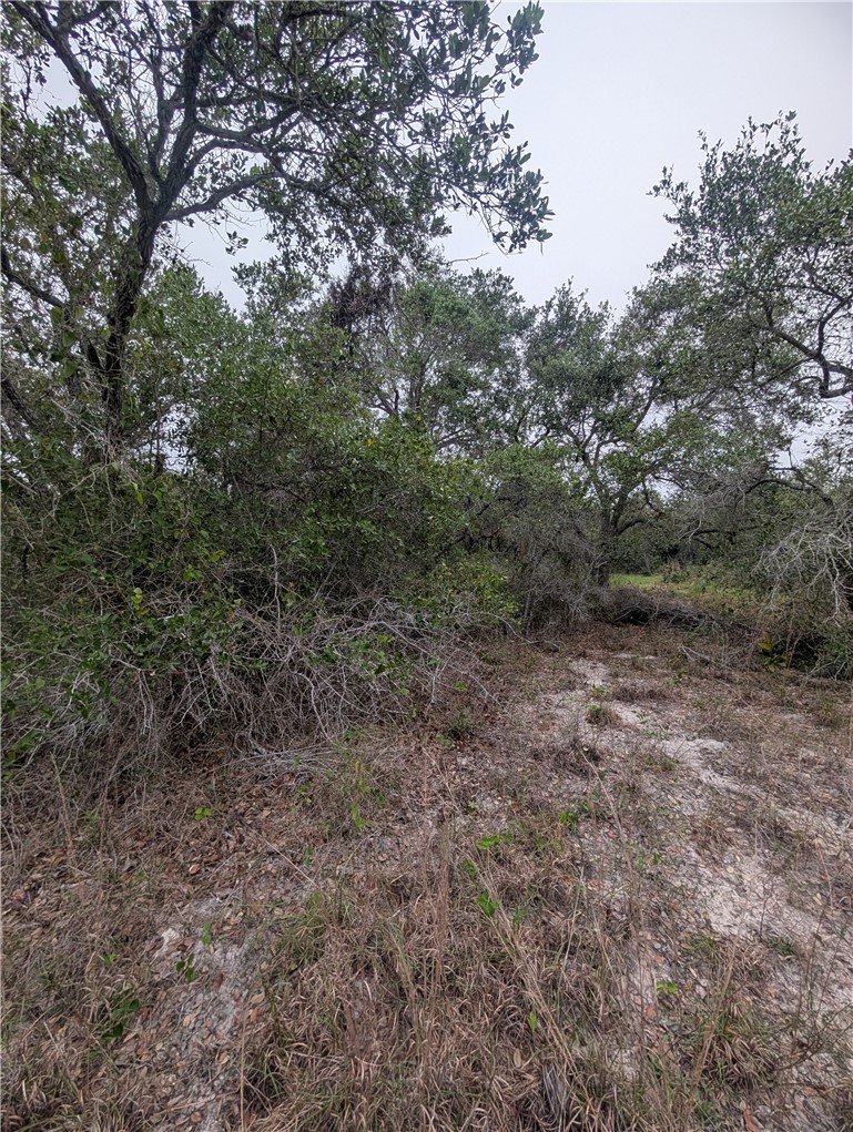 0 S 8th Aransas Pass TX 78336