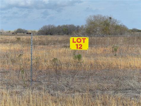 Lot 12 2180 County Road E Kingsville TX 78363