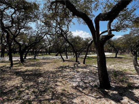 2302 Royal Oaks Fulton TX 78358