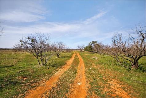 4140 N State Highway 16 Other TX 76449
