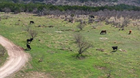 4140 N State Highway 16 Other TX 76449