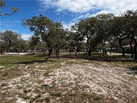 1203 Villas Drive Fulton TX 78358