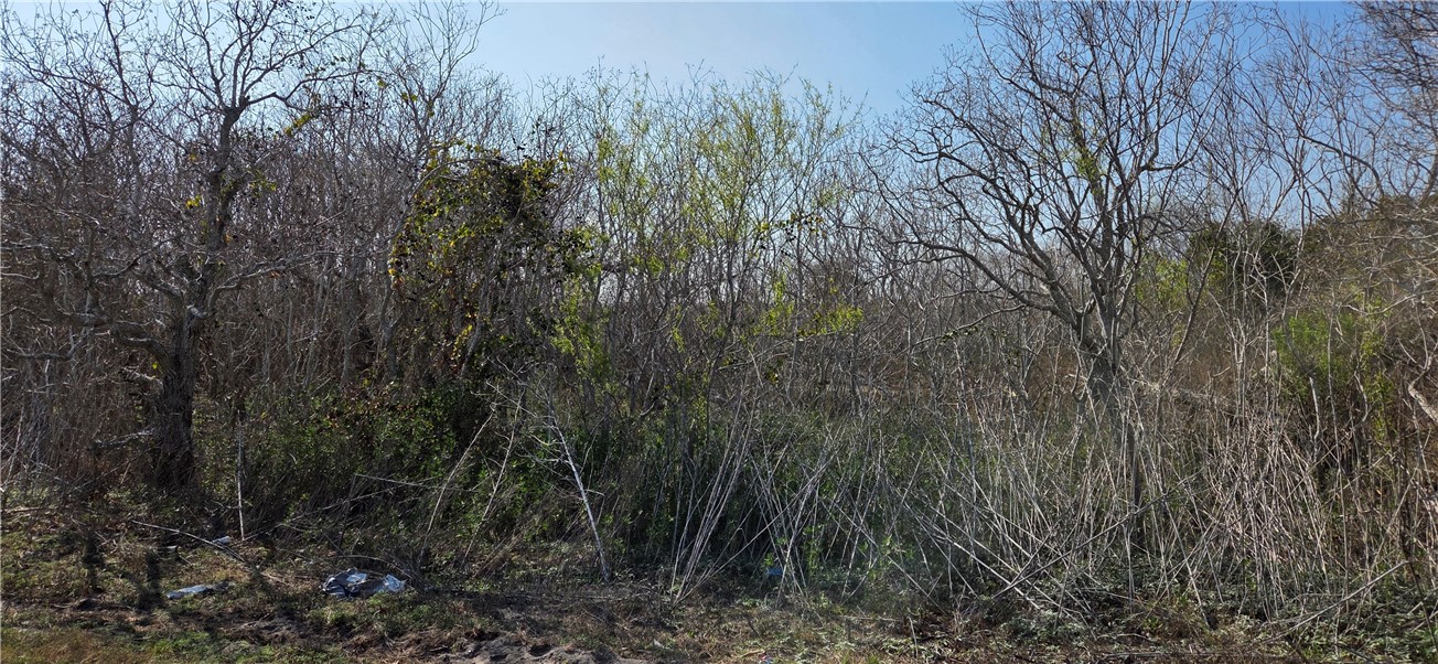 2515-B Monkey Road Rockport TX 78382