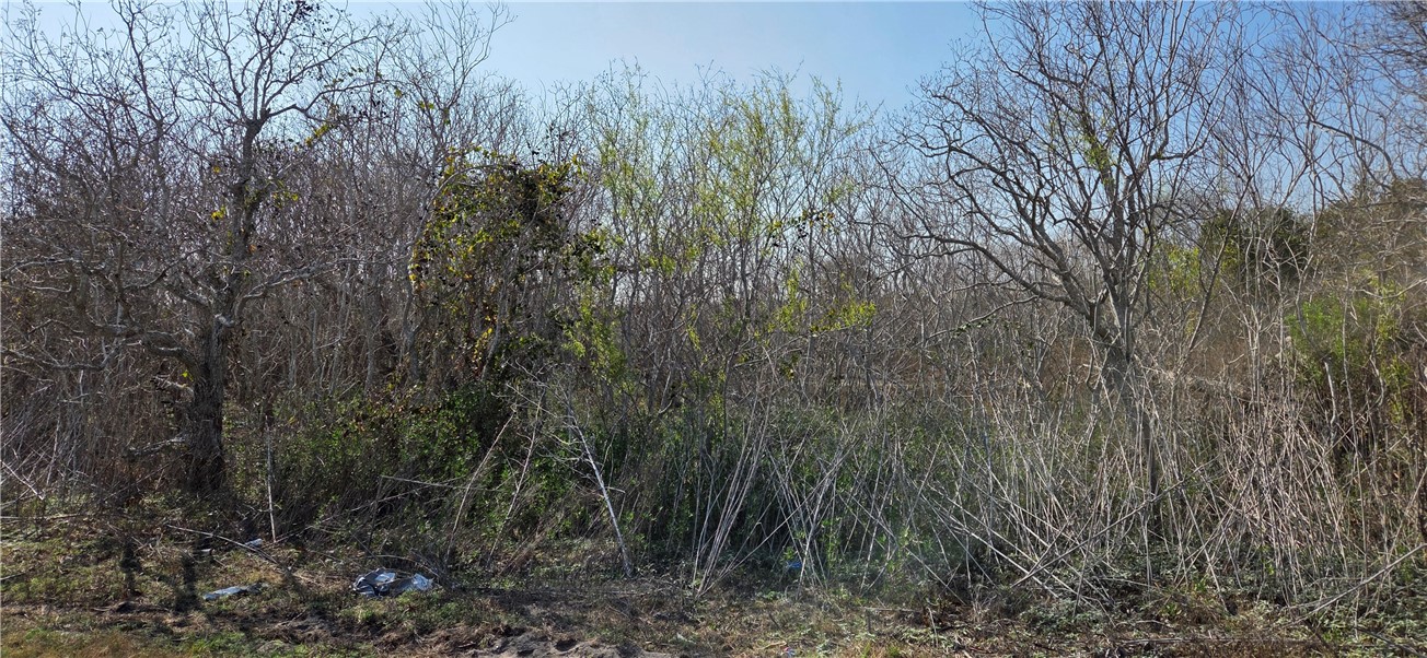 2515-B Monkey Road Rockport TX 78382