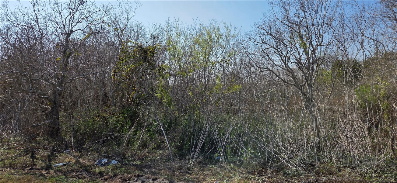 2515-B Monkey Road Rockport TX 78382