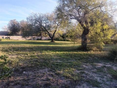 12941 Hearn Street Corpus Christi TX 78410