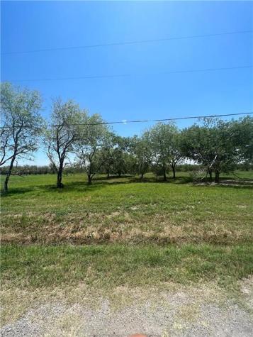 12509 Cr 1272 Sinton TX 78387