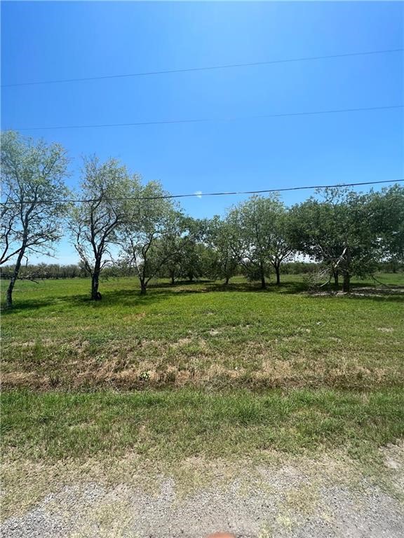 12509 Cr 1272 Sinton TX 78387