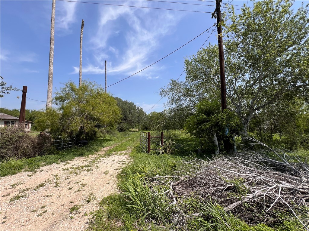 Tbd County Road 42 Robstown TX 78380