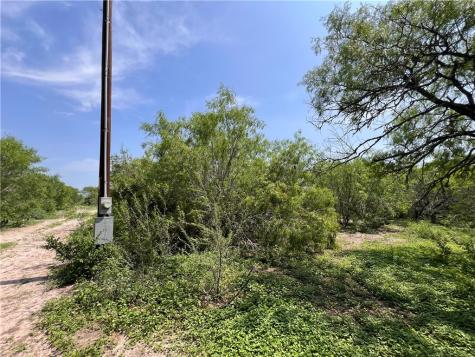 Tbd County Road 42 Robstown TX 78380