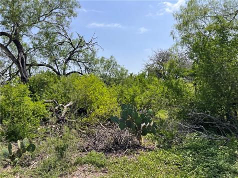 Tbd County Road 42 Robstown TX 78380