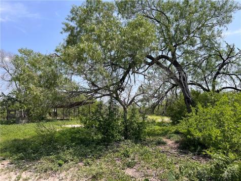 Tbd County Road 42 Robstown TX 78380