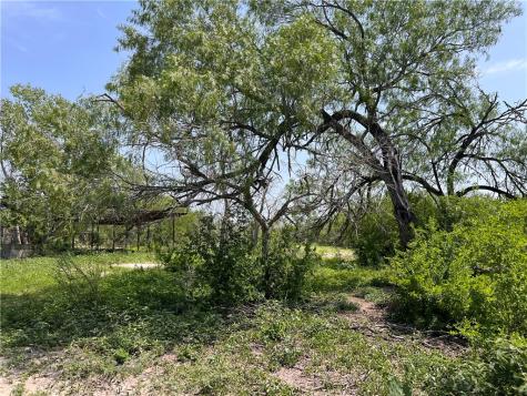 Tbd County Road 42 Robstown TX 78380