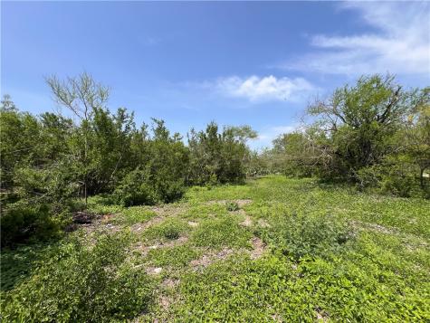 Tbd County Road 42 Robstown TX 78380