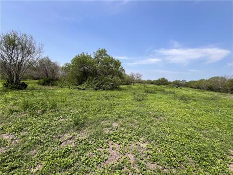 Tbd County Road 42 Robstown TX 78380