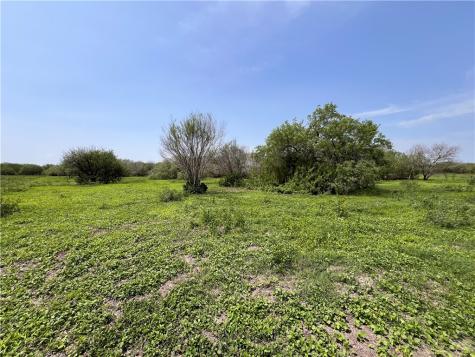 Tbd County Road 42 Robstown TX 78380