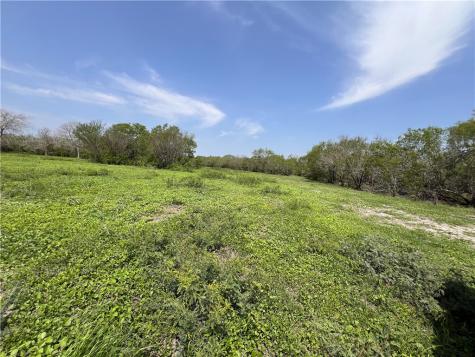 Tbd County Road 42 Robstown TX 78380