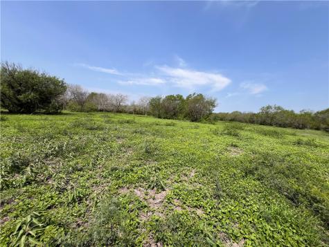 Tbd County Road 42 Robstown TX 78380