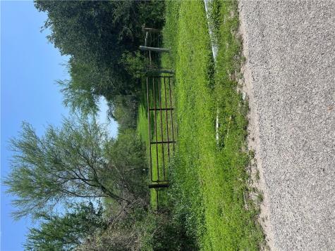 Tbd County Road 42 Robstown TX 78380
