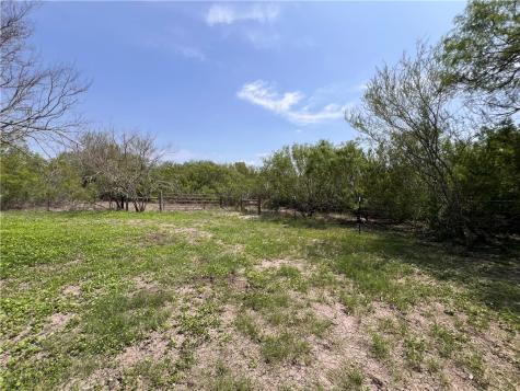 Tbd County Road 42 Robstown TX 78380