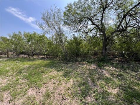 Tbd County Road 42 Robstown TX 78380