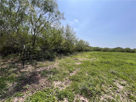 Tbd County Road 42 Robstown TX 78380