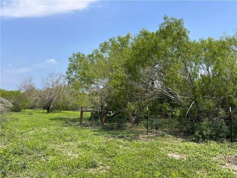 Tbd County Road 42 Robstown TX 78380