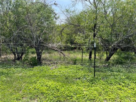 Tbd County Road 42 Robstown TX 78380