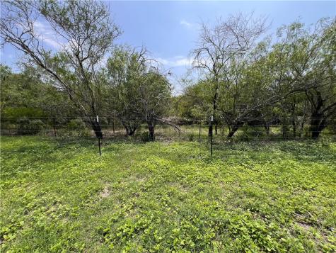 Tbd County Road 42 Robstown TX 78380