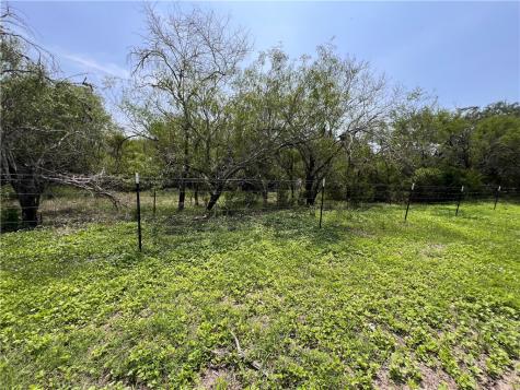Tbd County Road 42 Robstown TX 78380