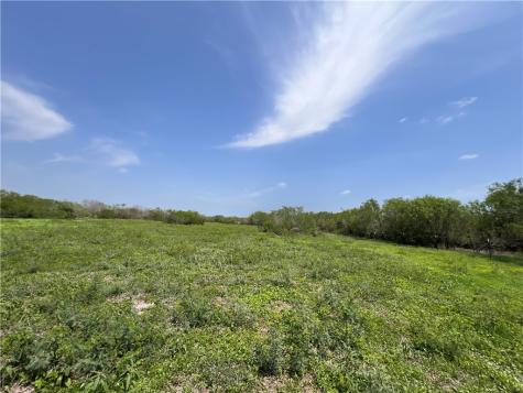 Tbd County Road 42 Robstown TX 78380