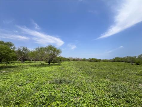 Tbd County Road 42 Robstown TX 78380