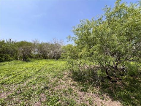 Tbd County Road 42 Robstown TX 78380