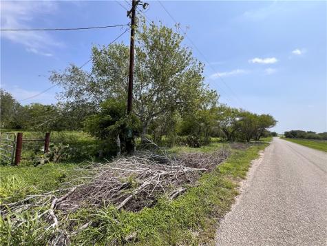 Tbd County Road 42 Robstown TX 78380