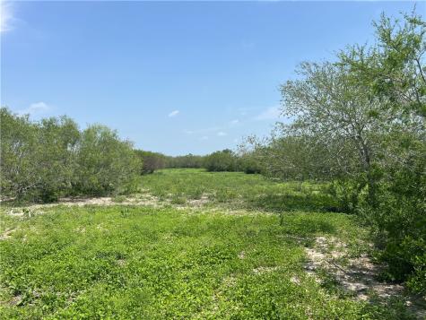 Tbd County Road 42 Robstown TX 78380