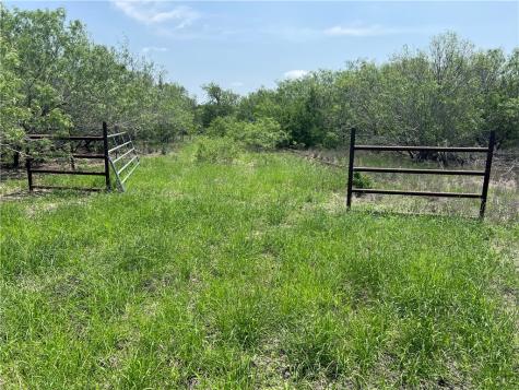 Tbd County Road 42 Robstown TX 78380