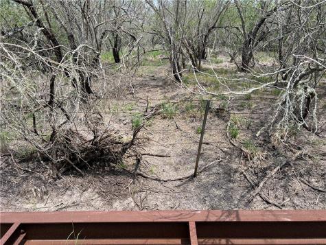 Tbd County Road 42 Robstown TX 78380