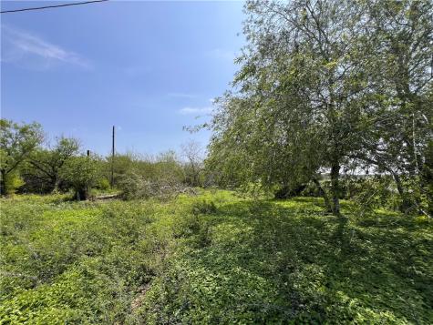 Tbd County Road 42 Robstown TX 78380