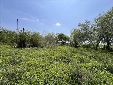Tbd County Road 42 Robstown TX 78380