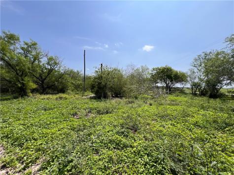Tbd County Road 42 Robstown TX 78380