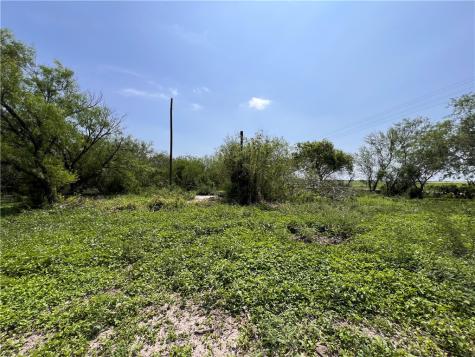 Tbd County Road 42 Robstown TX 78380