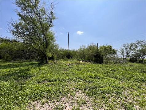 Tbd County Road 42 Robstown TX 78380