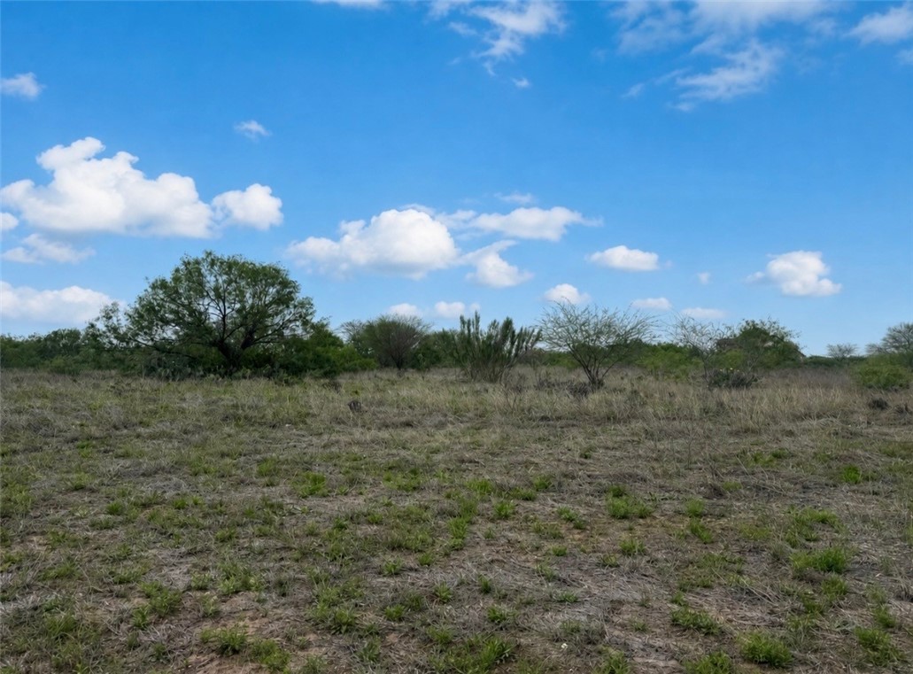 0 County Road 1701 Alice TX 78332